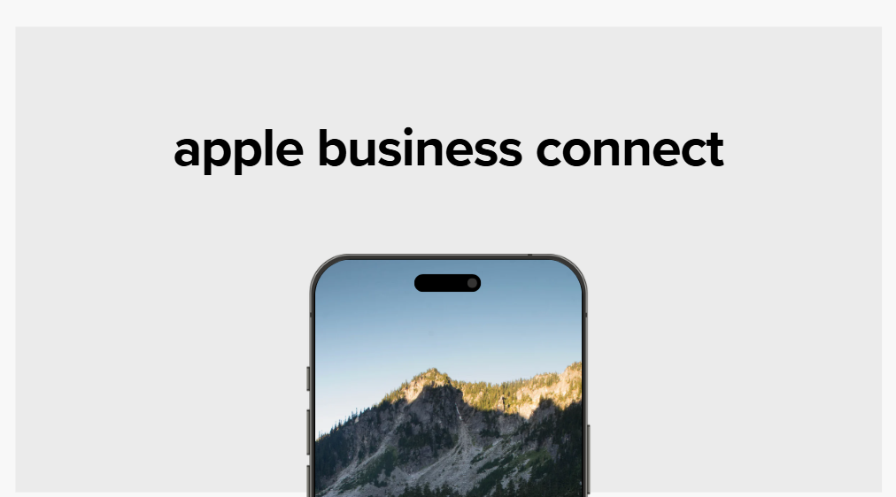 Apple Business Connect